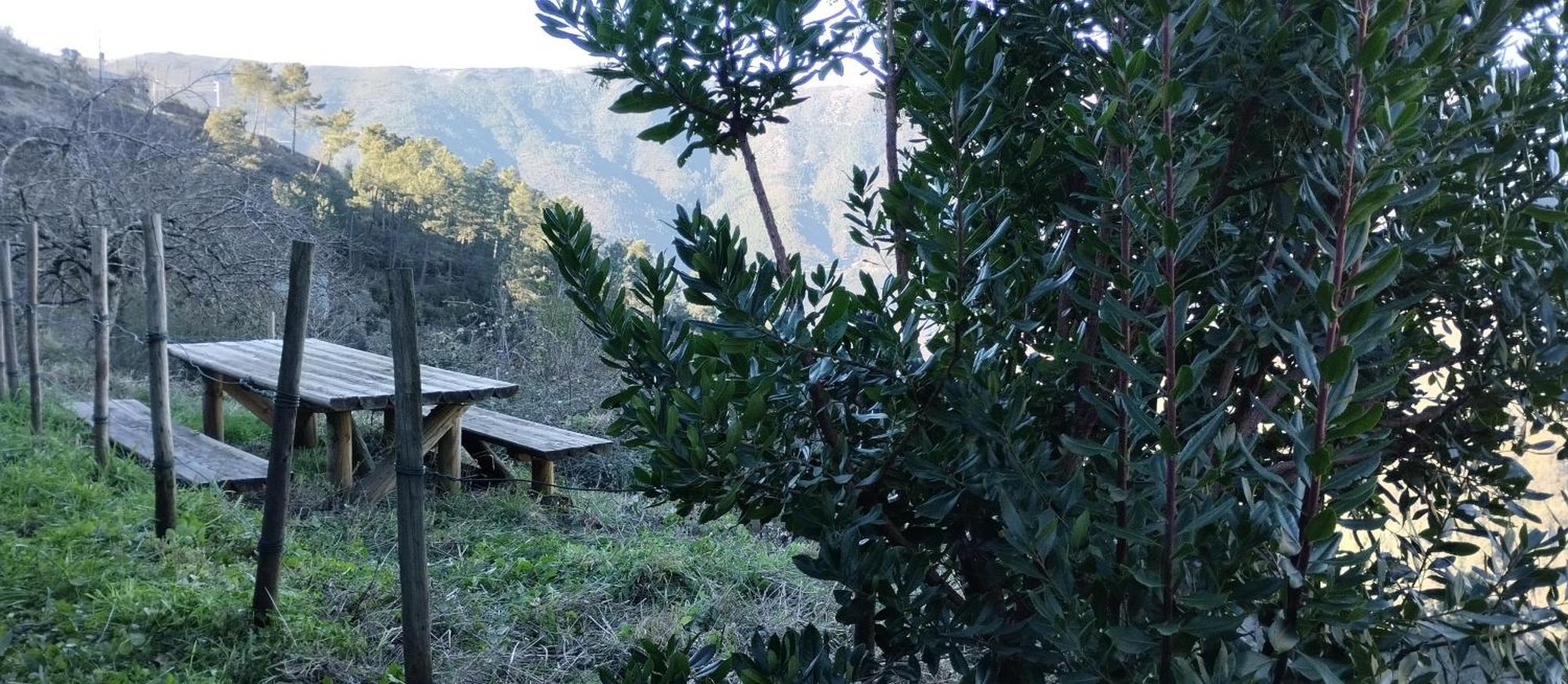 Casa Da Quelha Guest House Chas de Egua Екстериор снимка
